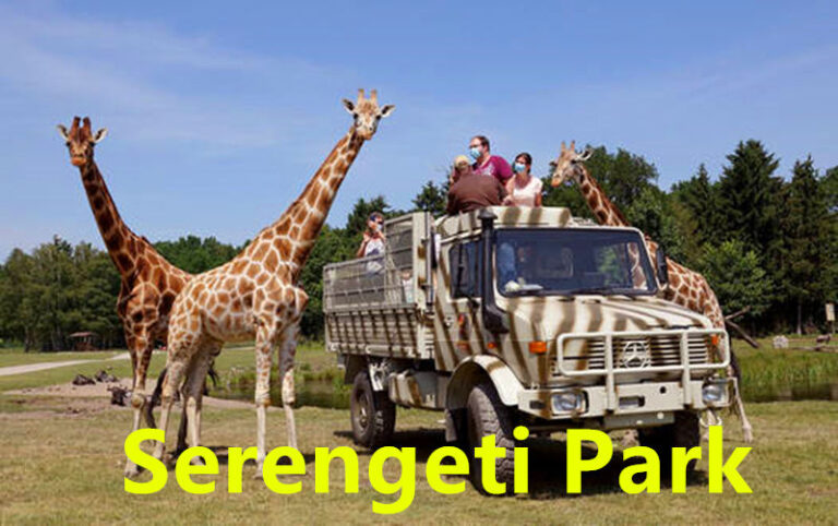 德国Serengeti-Park野生动物园2晚4星住宿含动物园天票早餐